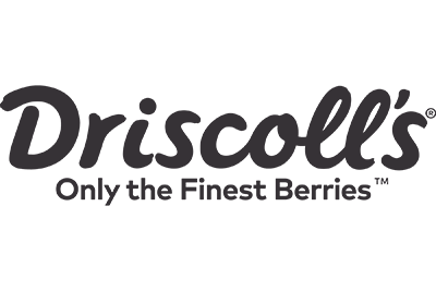 Client Driscoll's
